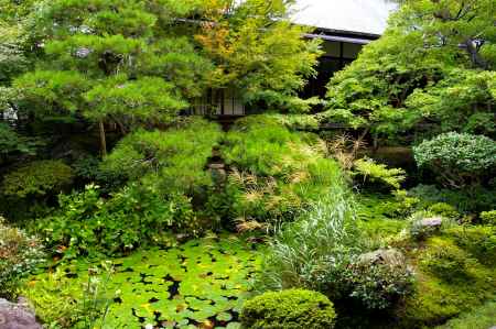 夏の永観堂の風景6