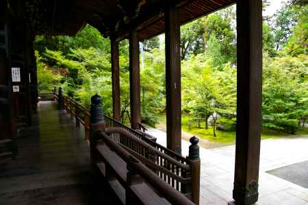 夏の永観堂の風景11