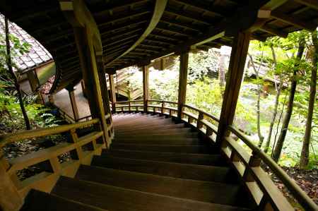 夏の永観堂の風景17