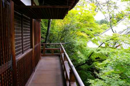 夏の永観堂の風景19