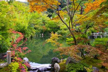 夏の永観堂の風景26