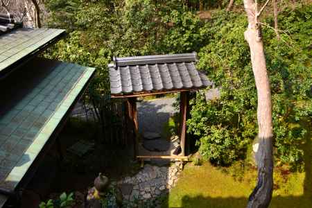 春の瑠璃光院11