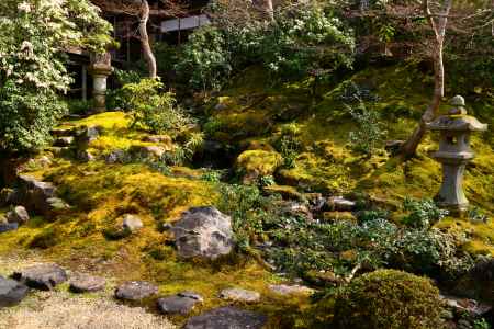 春の瑠璃光院12