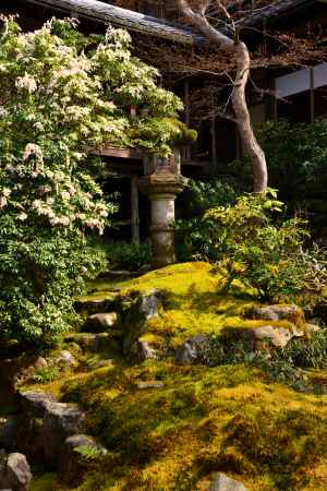 春の瑠璃光院13