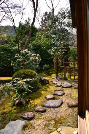 春の瑠璃光院15