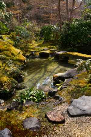 春の瑠璃光院16