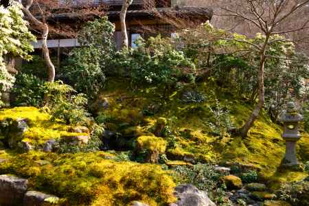 春の瑠璃光院17