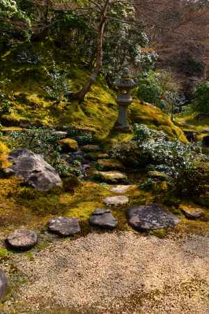 春の瑠璃光院18