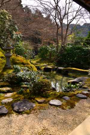 春の瑠璃光院19