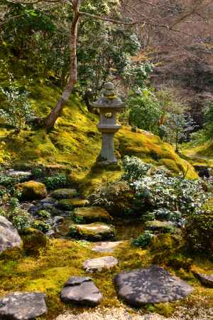 春の瑠璃光院20