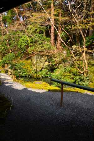 春の瑠璃光院21