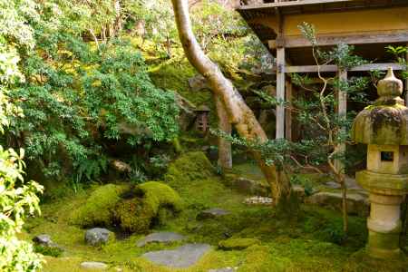 春の瑠璃光院23