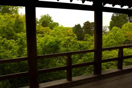 新緑の東福寺8