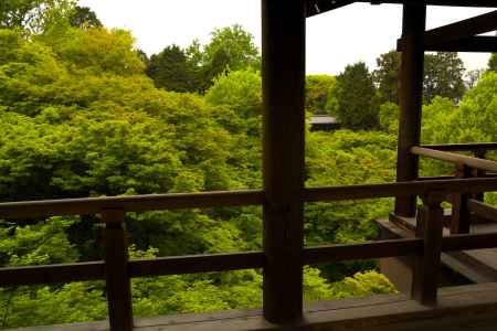 新緑の東福寺11