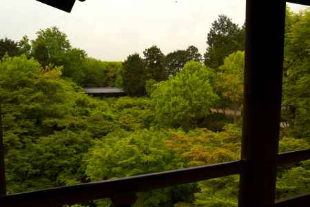 新緑の東福寺16