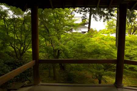 新緑の東福寺20