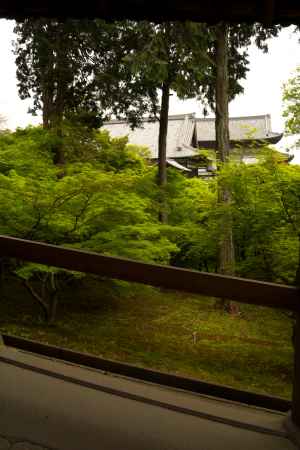 新緑の東福寺22