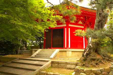 新緑の東福寺25