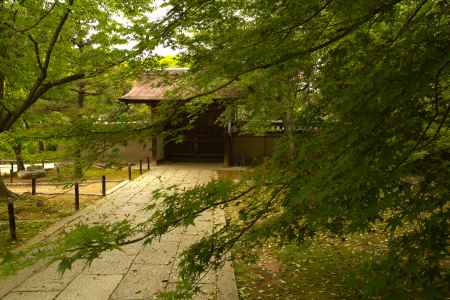 新緑の東福寺26