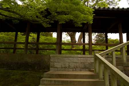 新緑の東福寺28