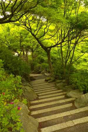 新緑の東福寺30