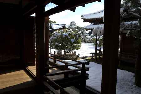 雪景色の仁和寺15