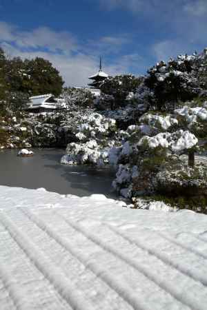 雪景色の仁和寺21