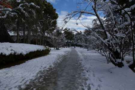 雪景色の仁和寺39