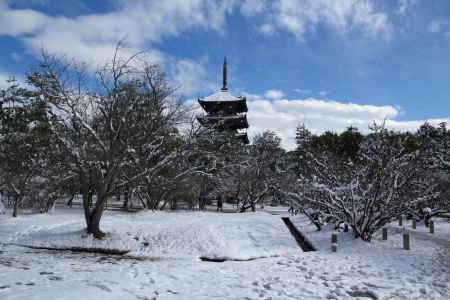 雪景色の仁和寺45