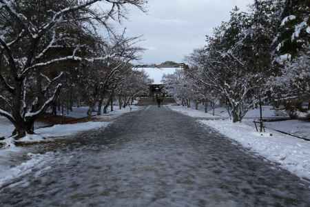 雪景色の仁和寺48