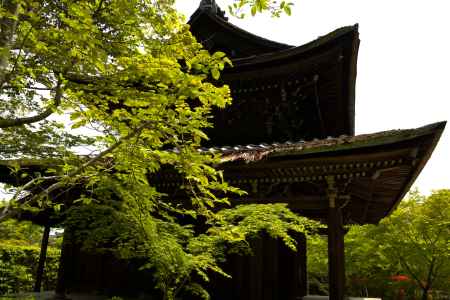 新緑の一休寺23