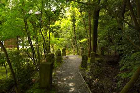 新緑の一休寺25