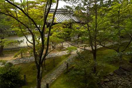 新緑の一休寺30