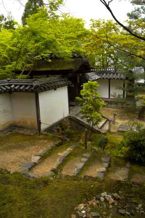 新緑の一休寺29