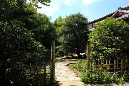 夏の詩仙堂16