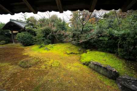 冬の清凉寺大方丈庭園1