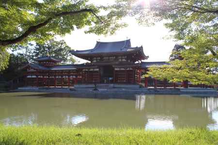 緑なす平等院鳳凰堂