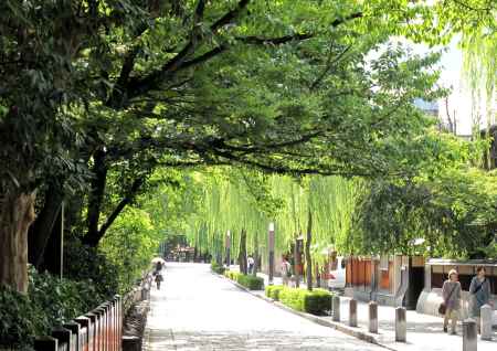 新橋の木陰から