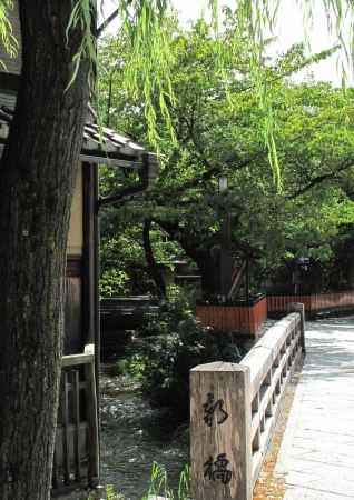 白川の流れにそよぐ柳