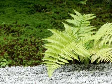 圓徳院・南庭にて