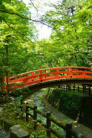 赤橋と御土居の青紅葉
