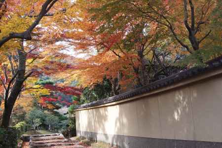 京都市の紅葉（嵯峨小倉陵付近）