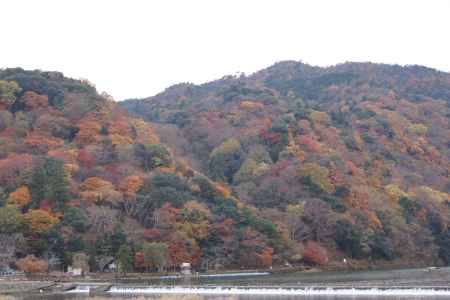 京都市の紅葉（嵐山）