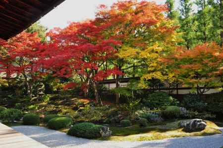京の紅葉