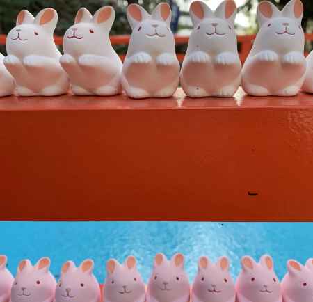 インスタ映えで人気