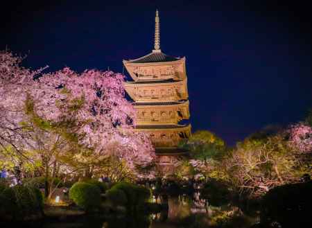 春の東寺
