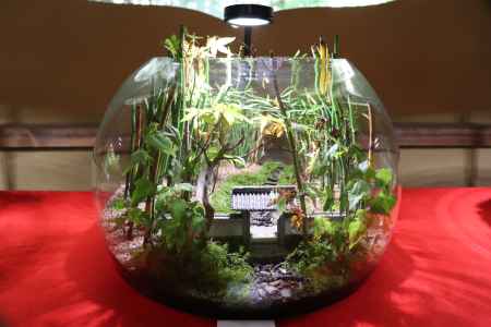 竹のお寺 【地蔵院】コケ寺リウム