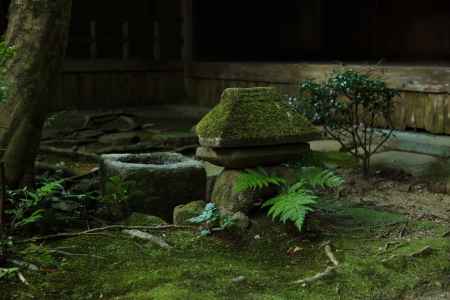 歯朶を穿いた石灯籠