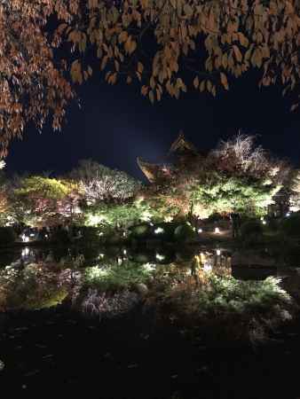 2018 東寺ライトアップ2