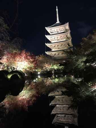 2018 東寺ライトアップ3